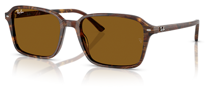 Ray-Ban RB 0RB2231 141833 58*18*145