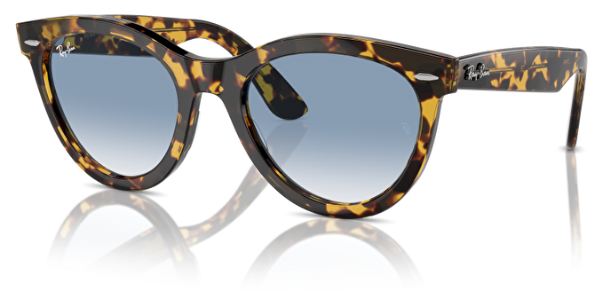 Ray-Ban RB 0RB2241 13323F 54*21*150