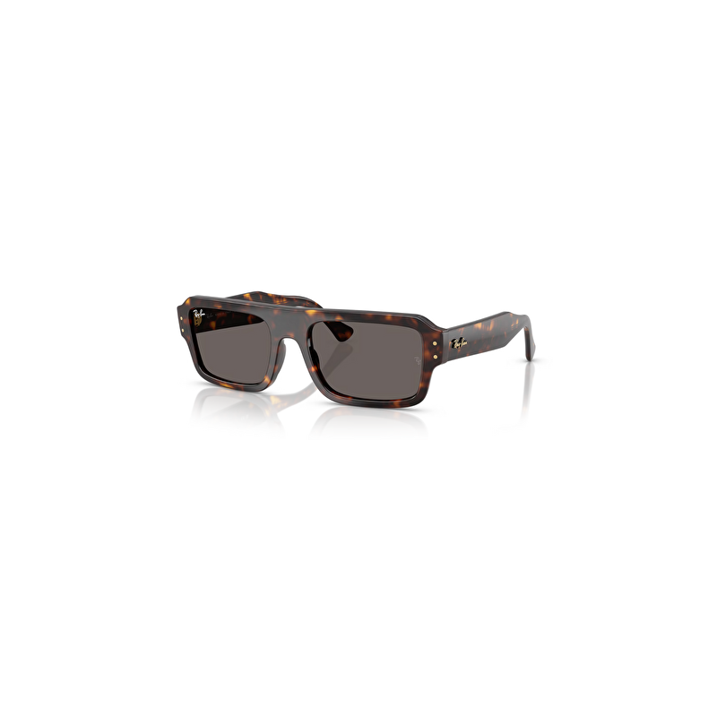 Ray-Ban RB 0RB4454 1359B1 56*20*145